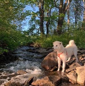 Meet your Posher, Thanit bernier
